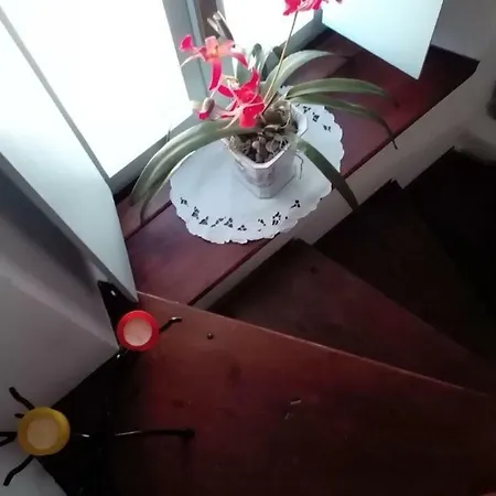 La Casina Di Vakantiehuis